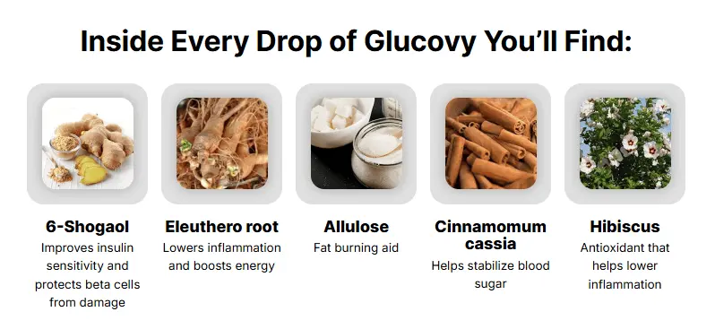 glucovy ingredients